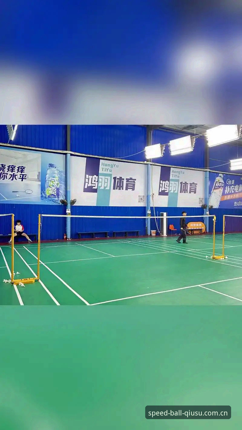 球速体育平台功能全面解析：新手用户深度体验报告